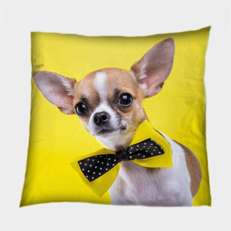Декоративна възглавница с куче Чихуахуа - Chihuahua