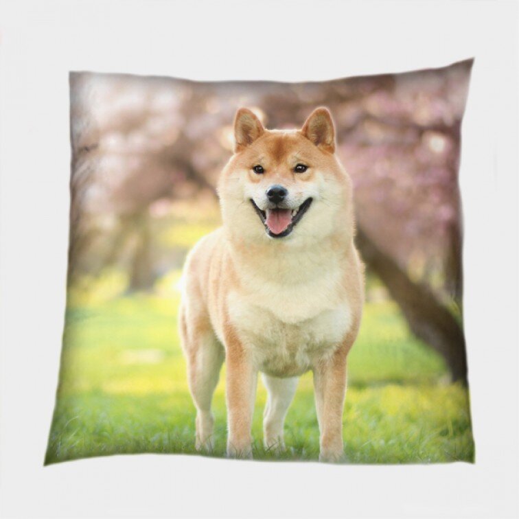 Деко възглавница с куче Шиба ину - Shiba Inu