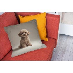 Деко възглавница Playful Curly Haired Poodle - Пуделче