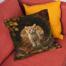 3D възглавница Коте през есента - Autumn Cat