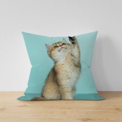Възглавница Say Hi Kitten - Кажи Здравей Коте