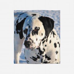 Меко одеяло Далматинец - Dalmatian Snow