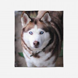 3D одеяло Хъски - Husky Brown