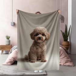 3D Одеяло Curly haired toy poodle - Къдрав пудел