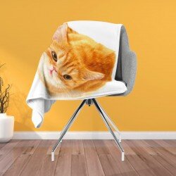3D одеяло Рижава котка - Reddish Cat