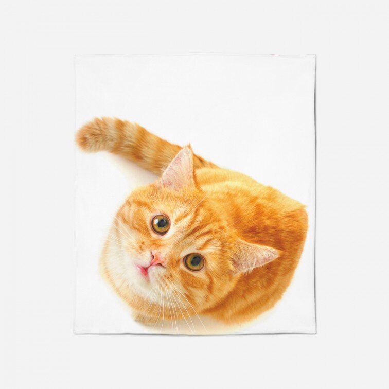 3D одеяло Рижава котка - Reddish Cat