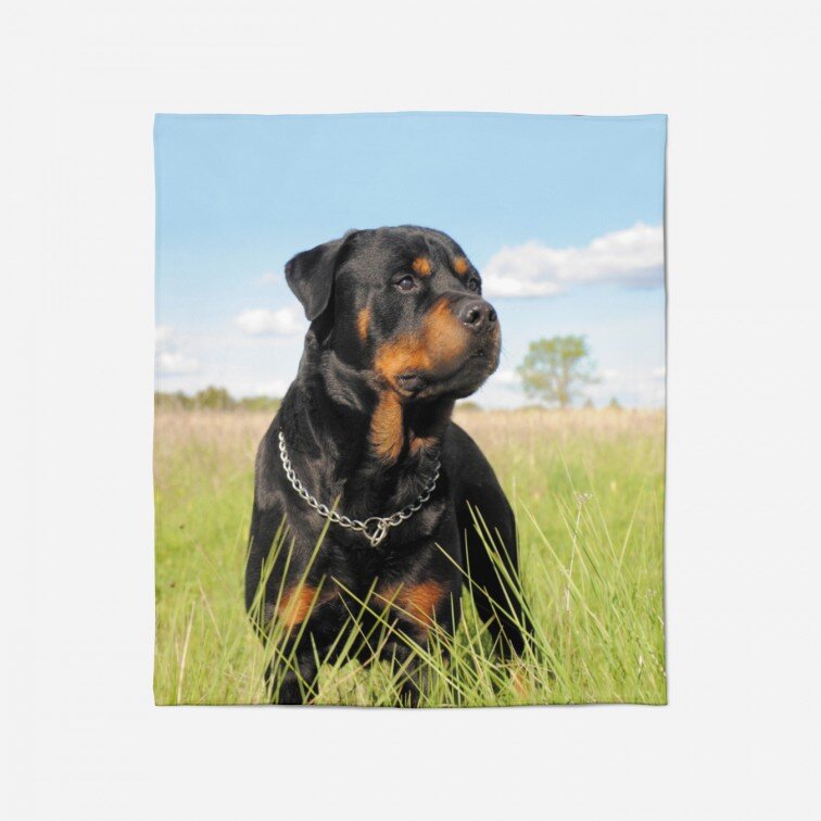 Одеяло с 3D печат Ротвайлер - Rottweiler