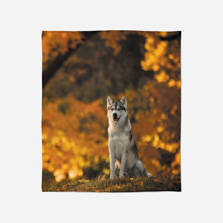 3D одеяло Вълк през есента - Wolf in The Autumn